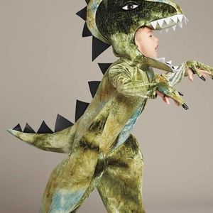 Kids T-rex/Dinosaur costume